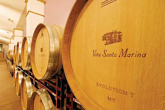 VIÑA SANTA MARINA - photo 0
