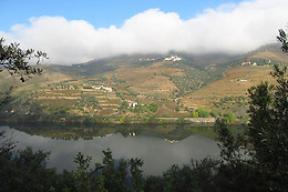 MANOS DO DOURO