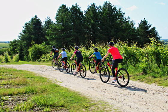 SENSATION VTT - photo 0