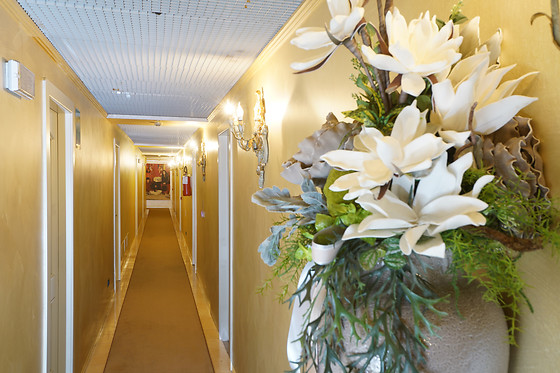 Europa Motel - photo 3