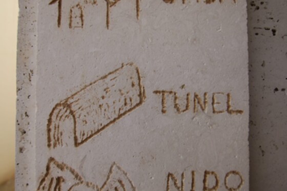 CASA TÚNEL NIDO DE ÁGUILAS - photo 16