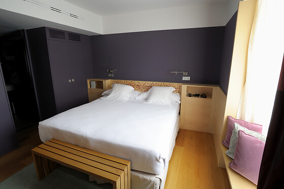 HOTEL RESORT BALNEARIO DE PANTICOSA - photo 22