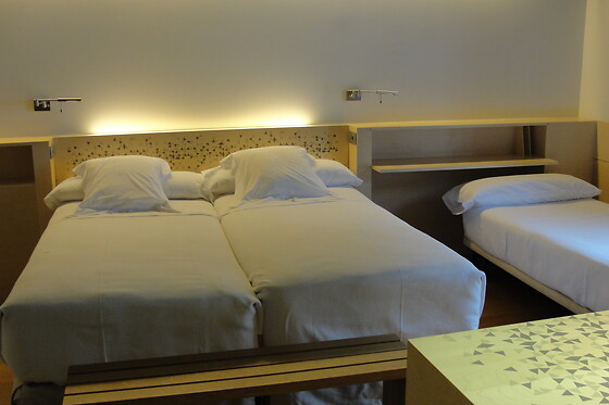 HOTEL RESORT BALNEARIO DE PANTICOSA - photo 16