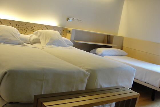 HOTEL RESORT BALNEARIO DE PANTICOSA - photo 17