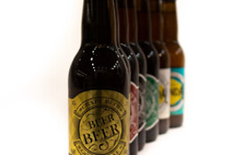 SENDA CRAFT BEER