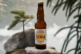 SENDA CRAFT BEER