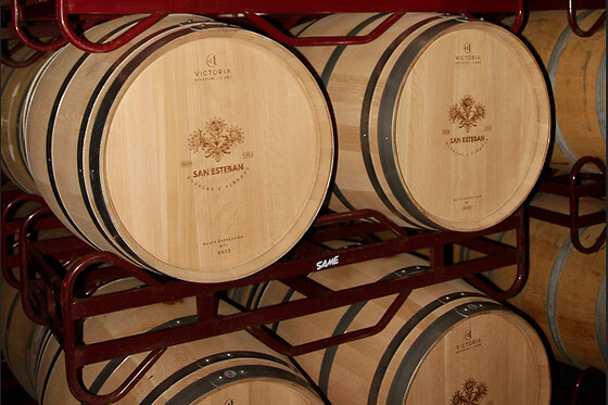 BODEGA SAN ESTEBAN - photo 2