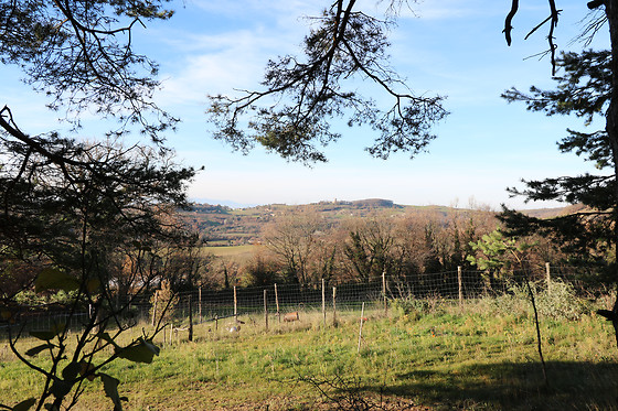 1001 Cornes - photo 5