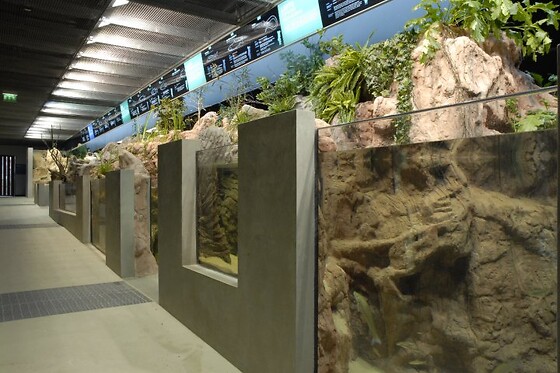 FLUVIÁRIO DE MORA - photo 4
