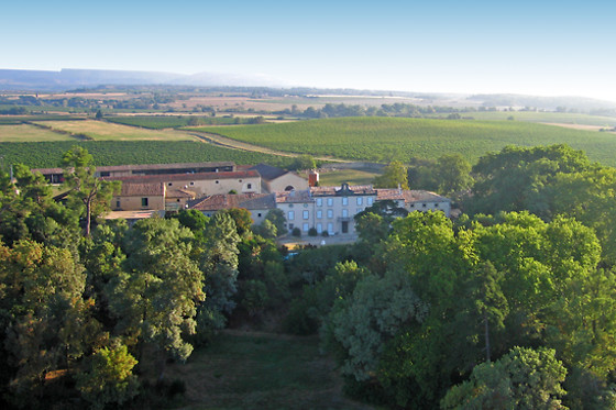 Château Auzias - photo 20