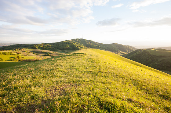HOTEL PALACIO ATXEGA - photo 2
