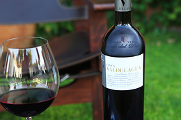 BODEGAS Y VIÑEDOS CASA DEL VALLE