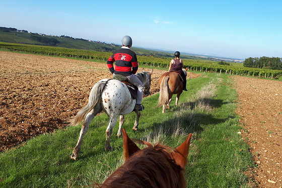 A Cheval dans l'Yonne - photo 0