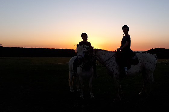 A Cheval dans l'Yonne - photo 3