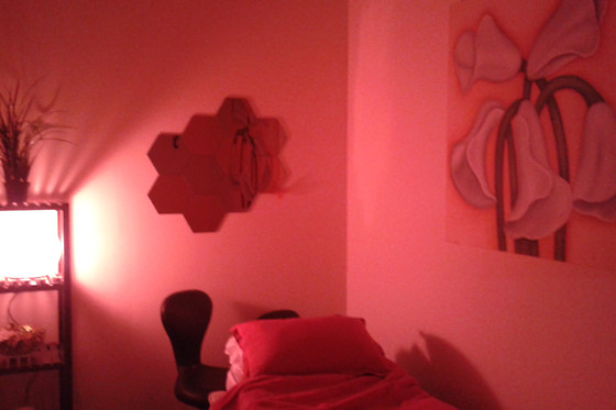 BAOBÁ - PRECIADOS - photo 5
