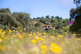 LA DEHESA EXPERIENCES