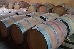 BODEGAS PALACIO DE LERMA