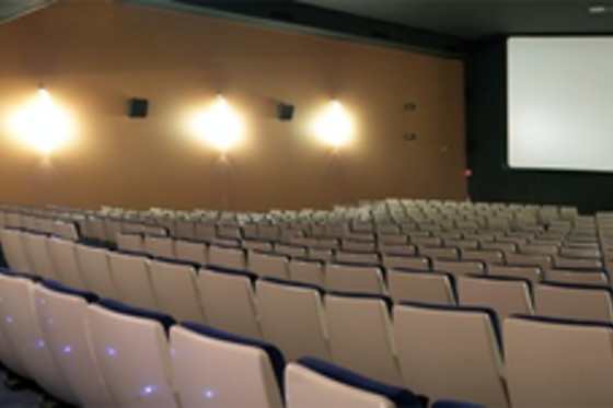Cinema Palace - photo 2
