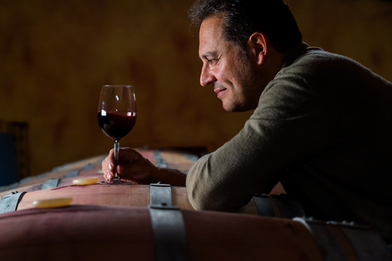 BODEGAS PALACIO DE LERMA - photo 7