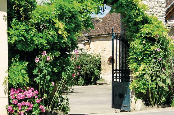 Les Trémières - photo 2