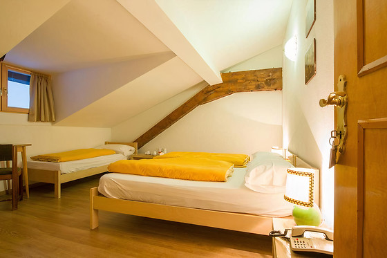 Park Hotel Regina delle Dolomiti - photo 4