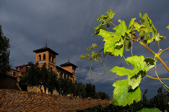 BODEGAS CASTILLO DE MONJARDIN - photo 0