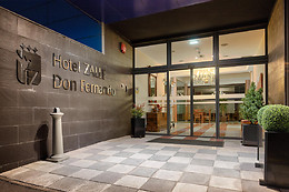 HOTEL ZALLE DON FERNANDO