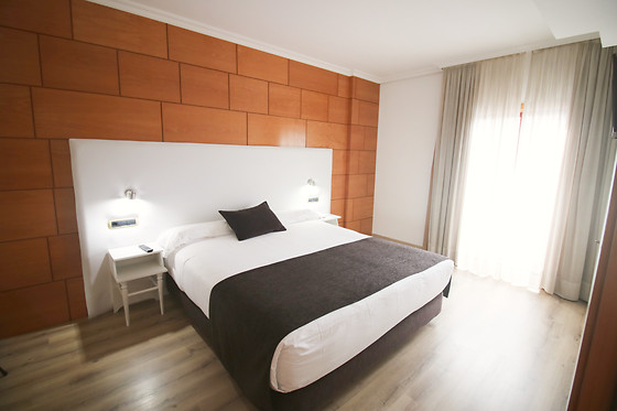 HOTEL ALFONSO I - photo 8