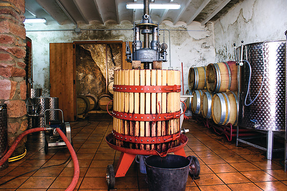 CASA RURAL MAGNANIMVS - photo 4