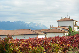 BODEGAS SANTALBA