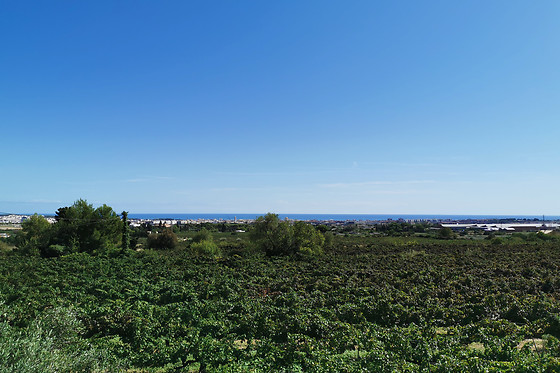 BODEGAS Y CAVAS JAUME SERRA - photo 1