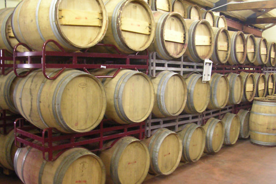 BODEGAS SANTOS ARRANZ - photo 2