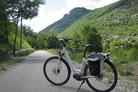 Cigale Aventure - photo 0