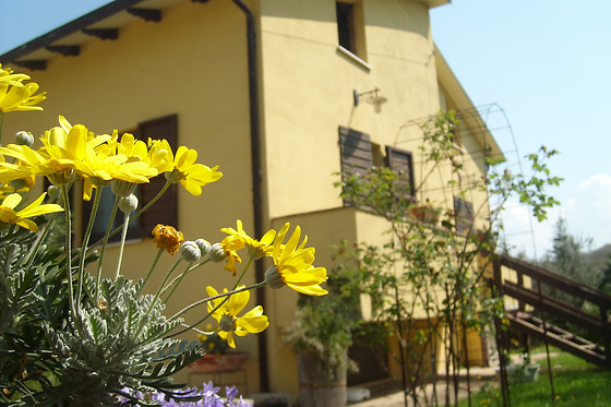 Fattoria Del Quondam - photo 4