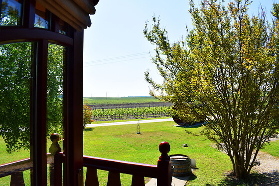 Le Domaine des Vignères - photo 3