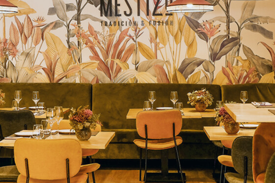 MESTIZO RESTAURANTE - photo 0
