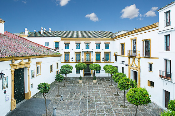 HOTEL HOSPES LAS CASAS DEL REY DE BAEZA - photo 1