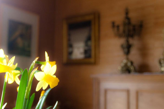B&B Goudsbloempje - photo 11