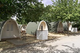 CAMPING EL NOGALEJO