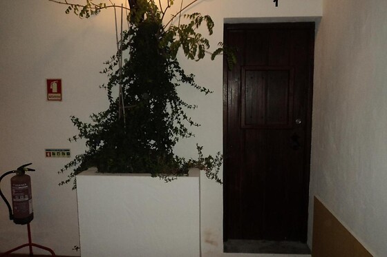 CASA DE CAMPO ALCAIDE PÊRO RODRIGUES - photo 8