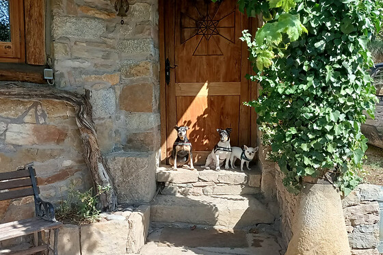 CAL SERRAT - photo 2