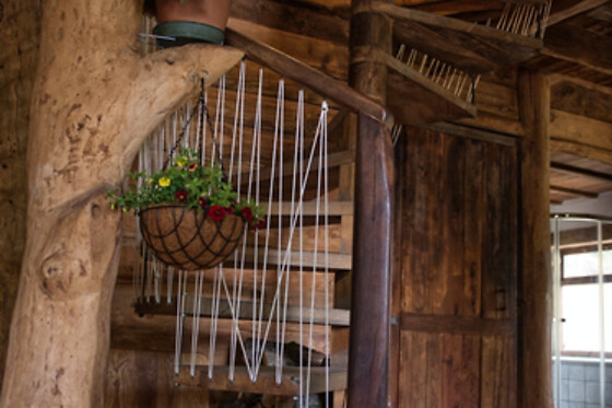 CAL SERRAT - photo 3