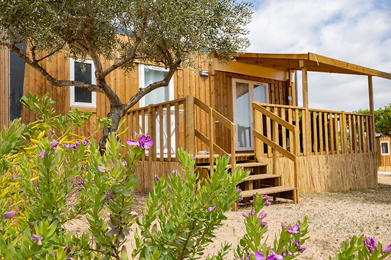 CAMPING ORANGERAIE - photo 0