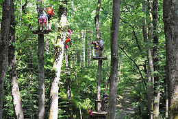 Natura Game