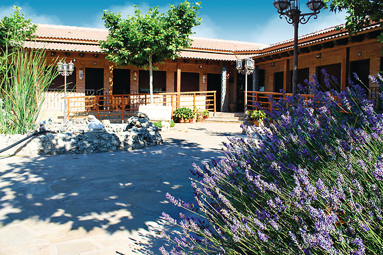 HOTEL RURAL RINCÓN DEL CIERZO - photo 1