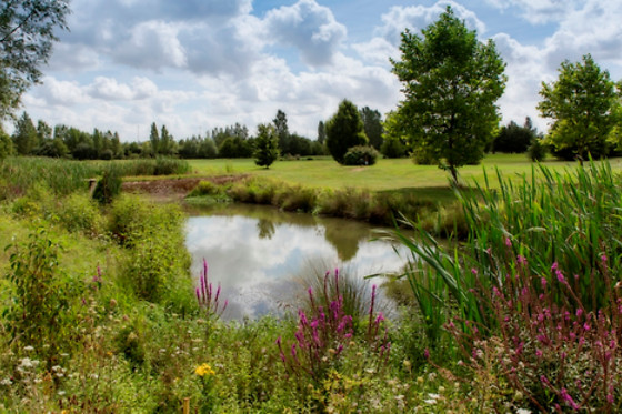 Ugolf Metz - photo 10