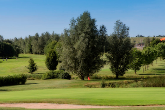 Ugolf Metz - photo 5