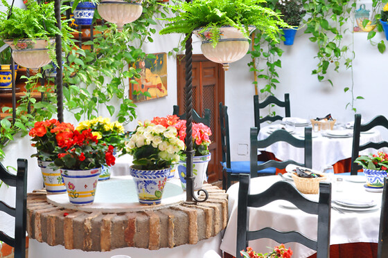 RESTAURANTE PUERTA SEVILLA - photo 19