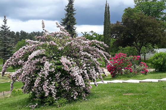 Bienvenue en Perigord - photo 6