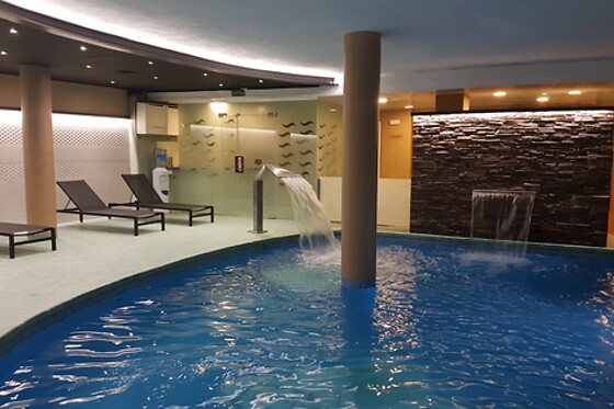 HOTEL GRÈVOL SPA - photo 14